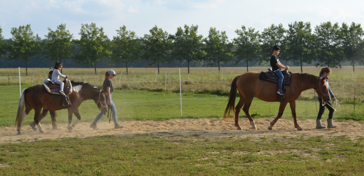 DSC_6607.jpg