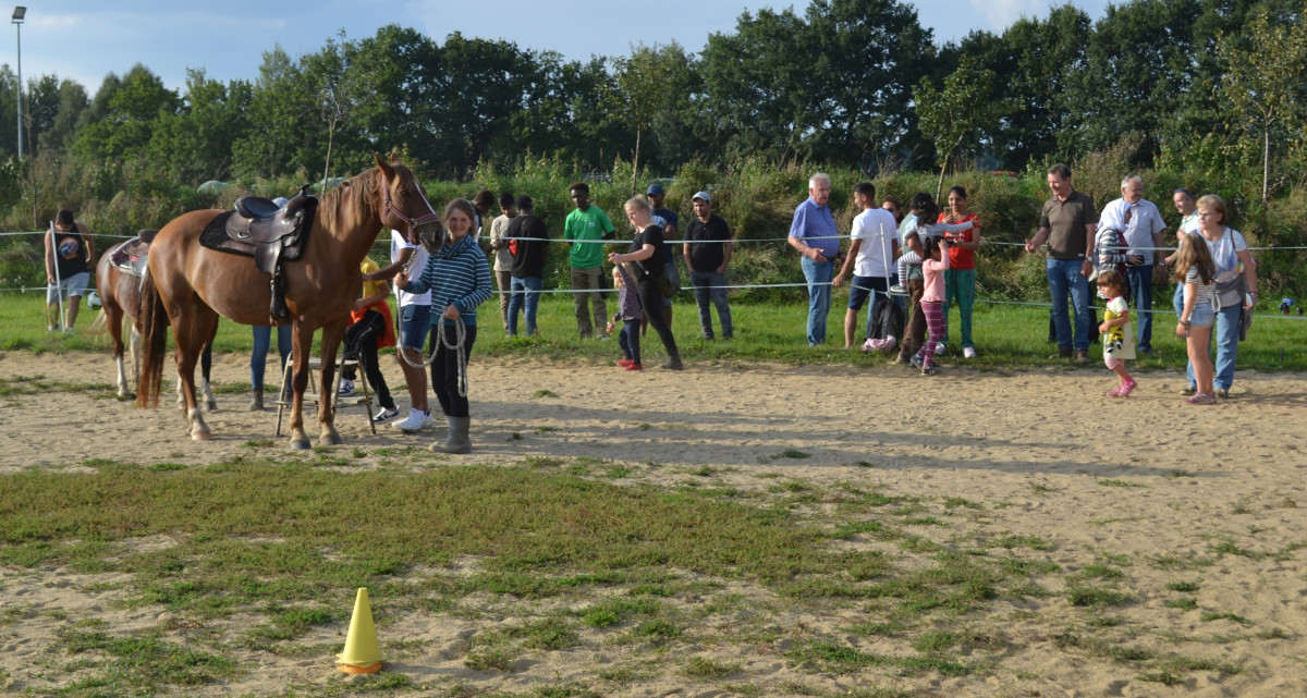 DSC_6617.jpg