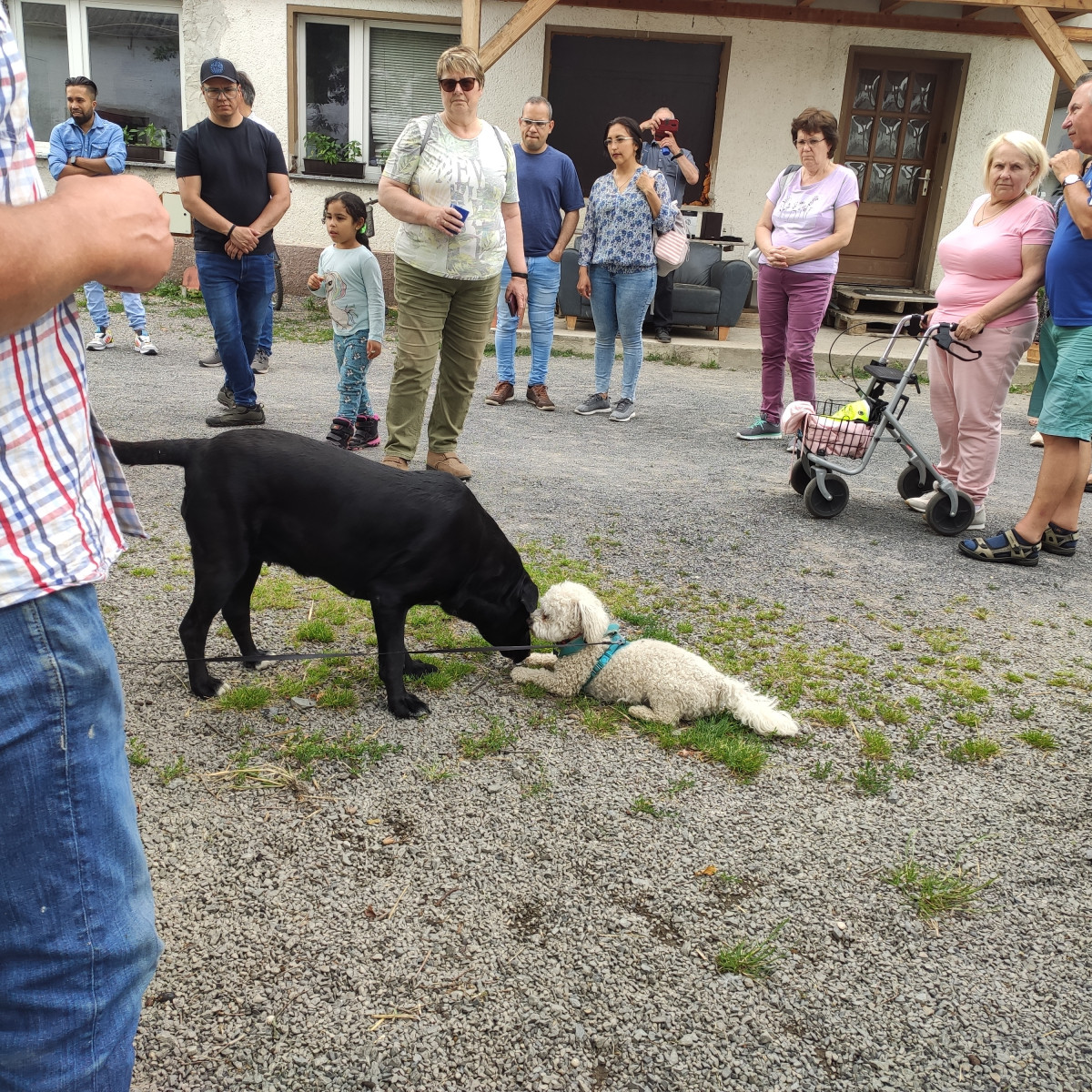 Hoffuehrung_Hunde.jpg