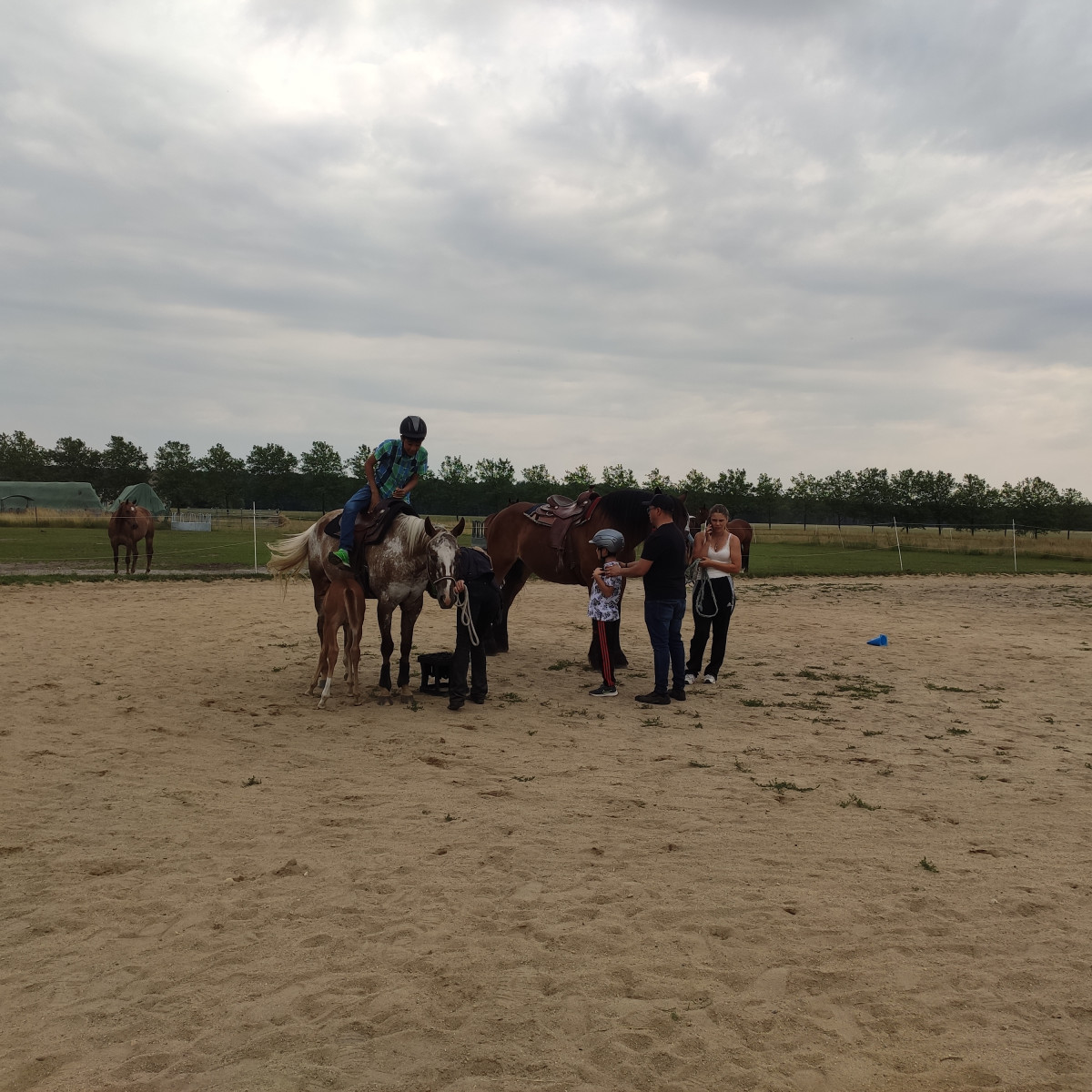 Reiten_1.jpg